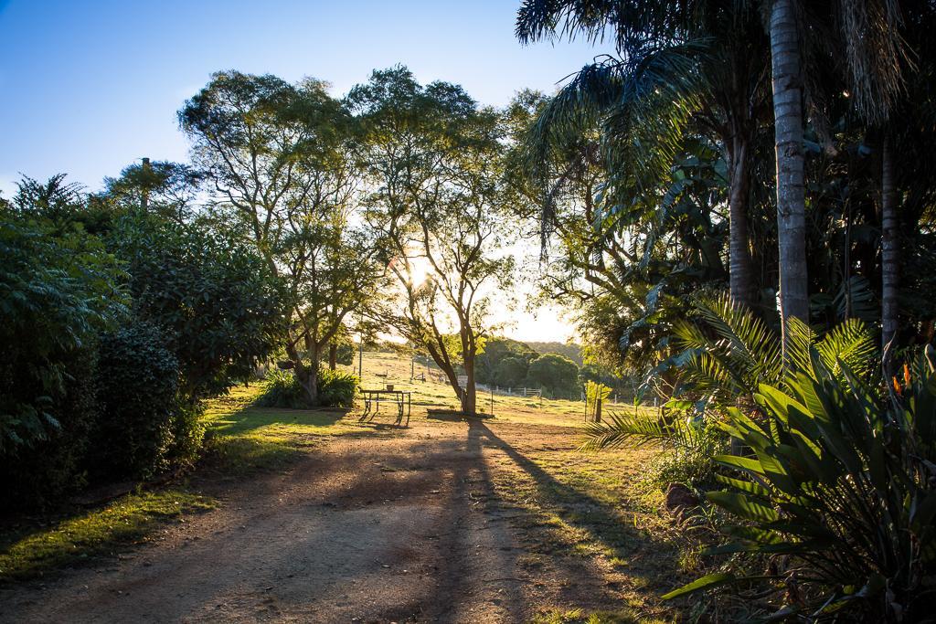 Hillview Cottages Kingaroy Dış mekan fotoğraf